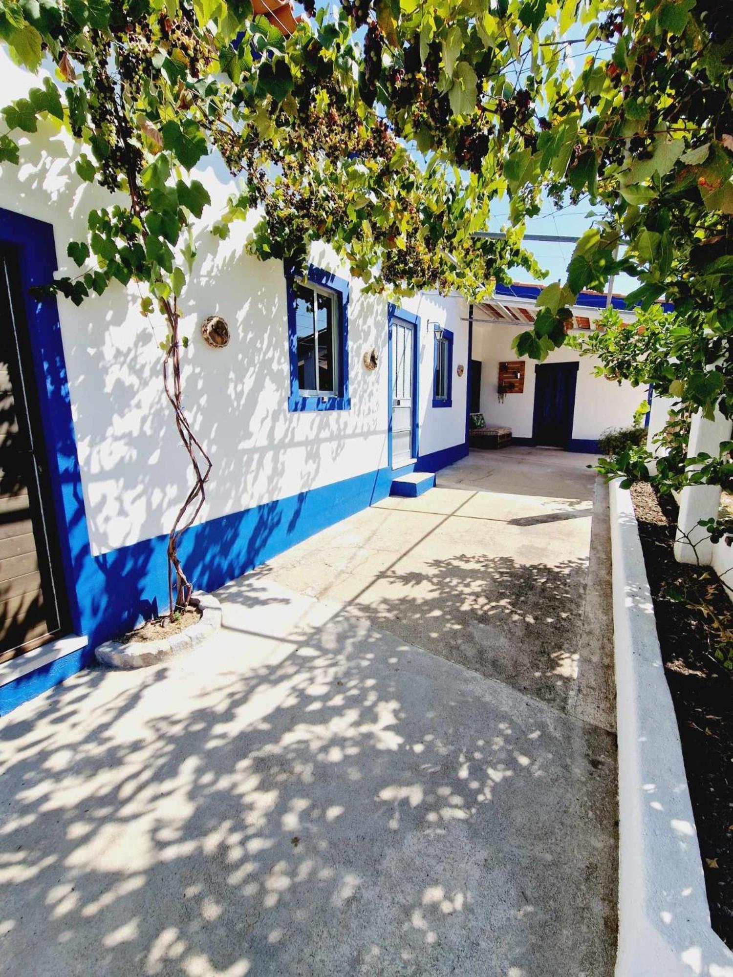 Casa Dos Martelitos Villa Salgueira  Dış mekan fotoğraf
