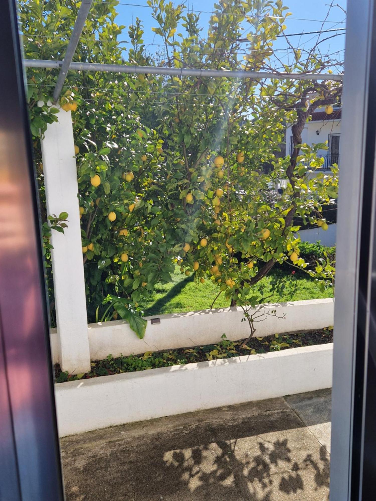 Casa Dos Martelitos Villa Salgueira  Dış mekan fotoğraf